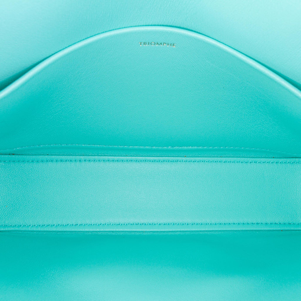 Celine Triomphe Leather Claude Shoulder Bag