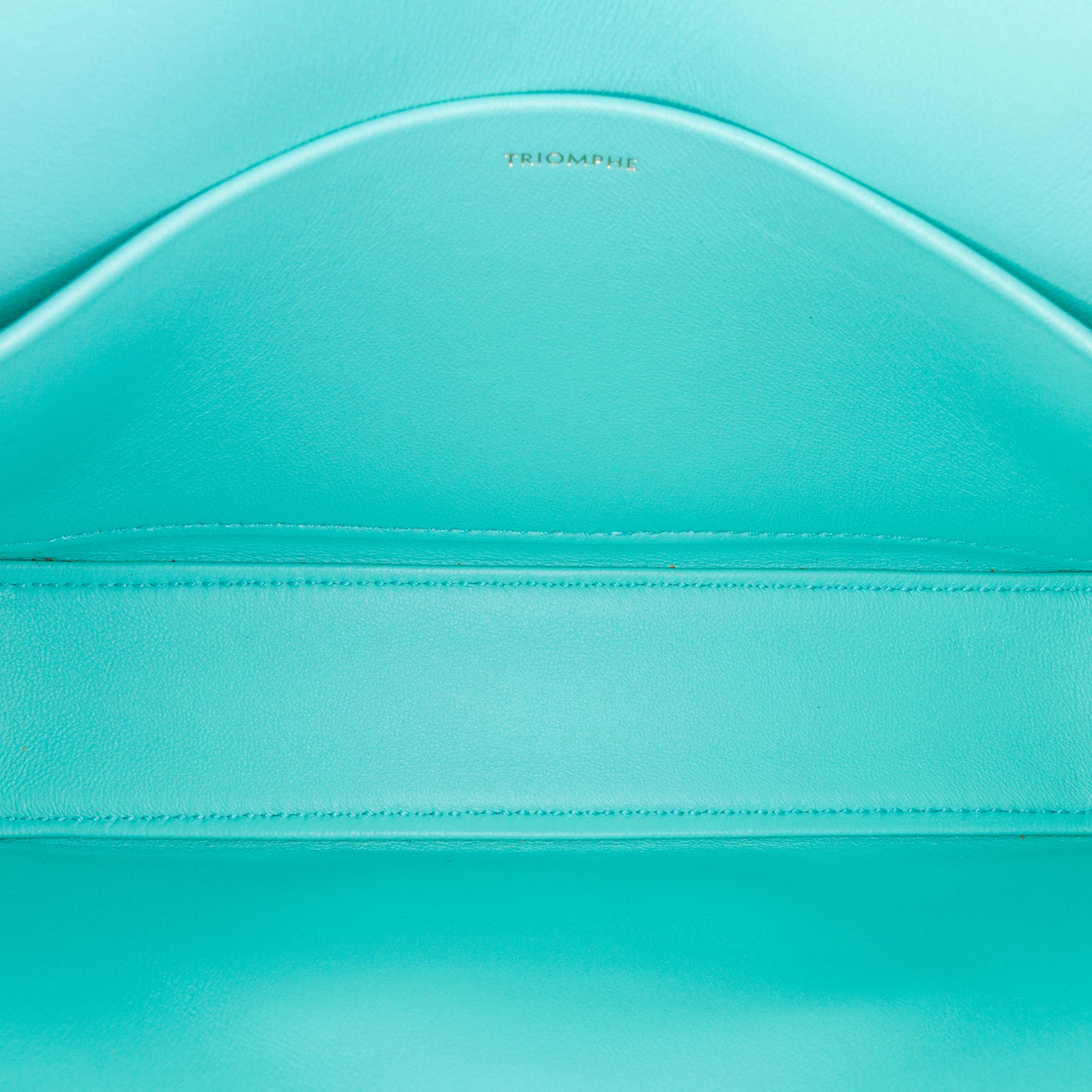 Celine Triomphe Leather Claude Shoulder Bag