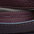 Chloe Calfskin Marcie Mini Crossbody Bag (SHF-18900)