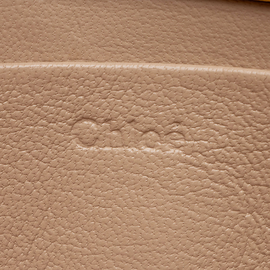 Chloe Calfskin Nile Minaudiere Small Bracelet Bag (SHF-urTPJ4)