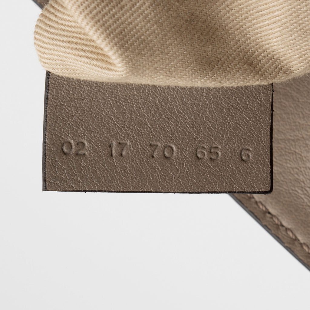 Chloe Calfskin Suede Faye Medium Backpack (SHF-BH2EAY)