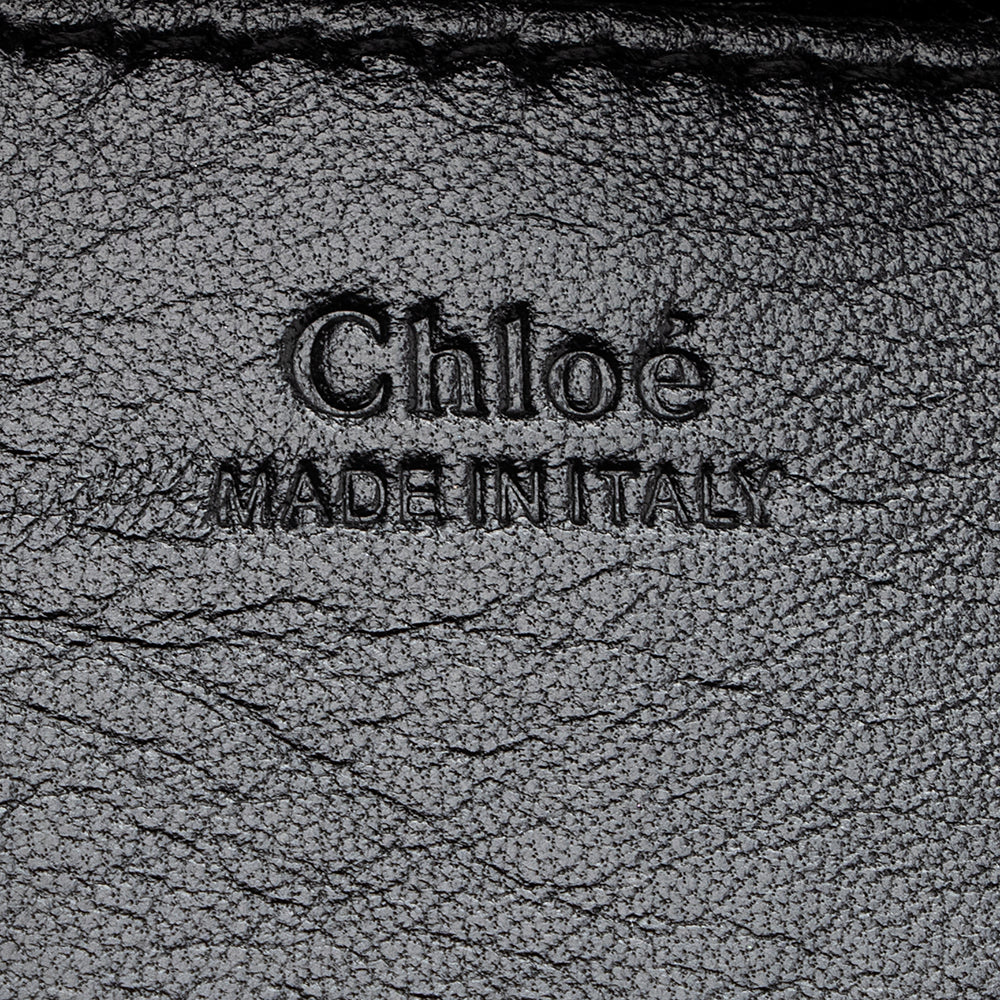 Chloe Goatskin Elle Medium Clutch (SHF-19949)