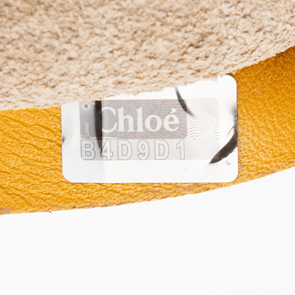Chloe Lambskin Drew Small Shoulder Bag (SHF-20889)