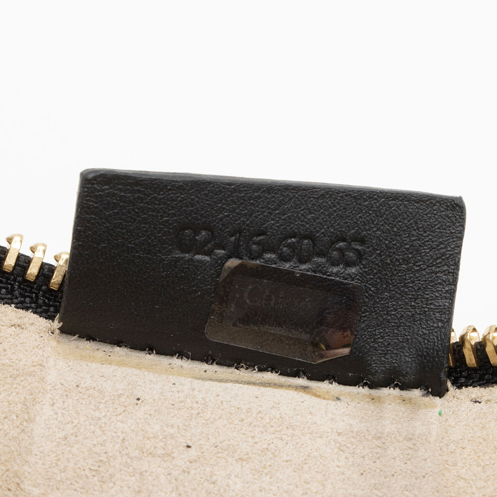 Chloe Leather Suede Jane Small Crossbody Bag (SHF-JrtInH)