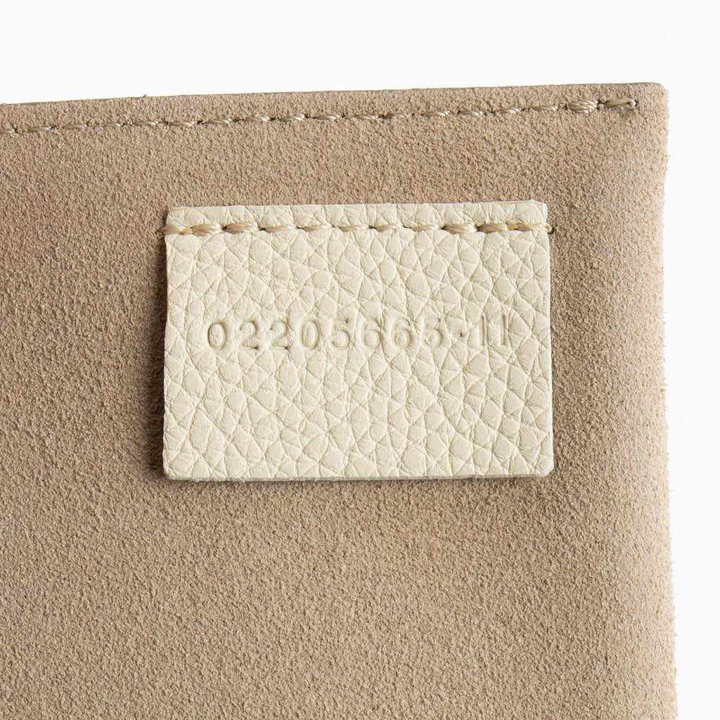 Chloe Ombre Lambskin Drew Mini Shoulder Bag