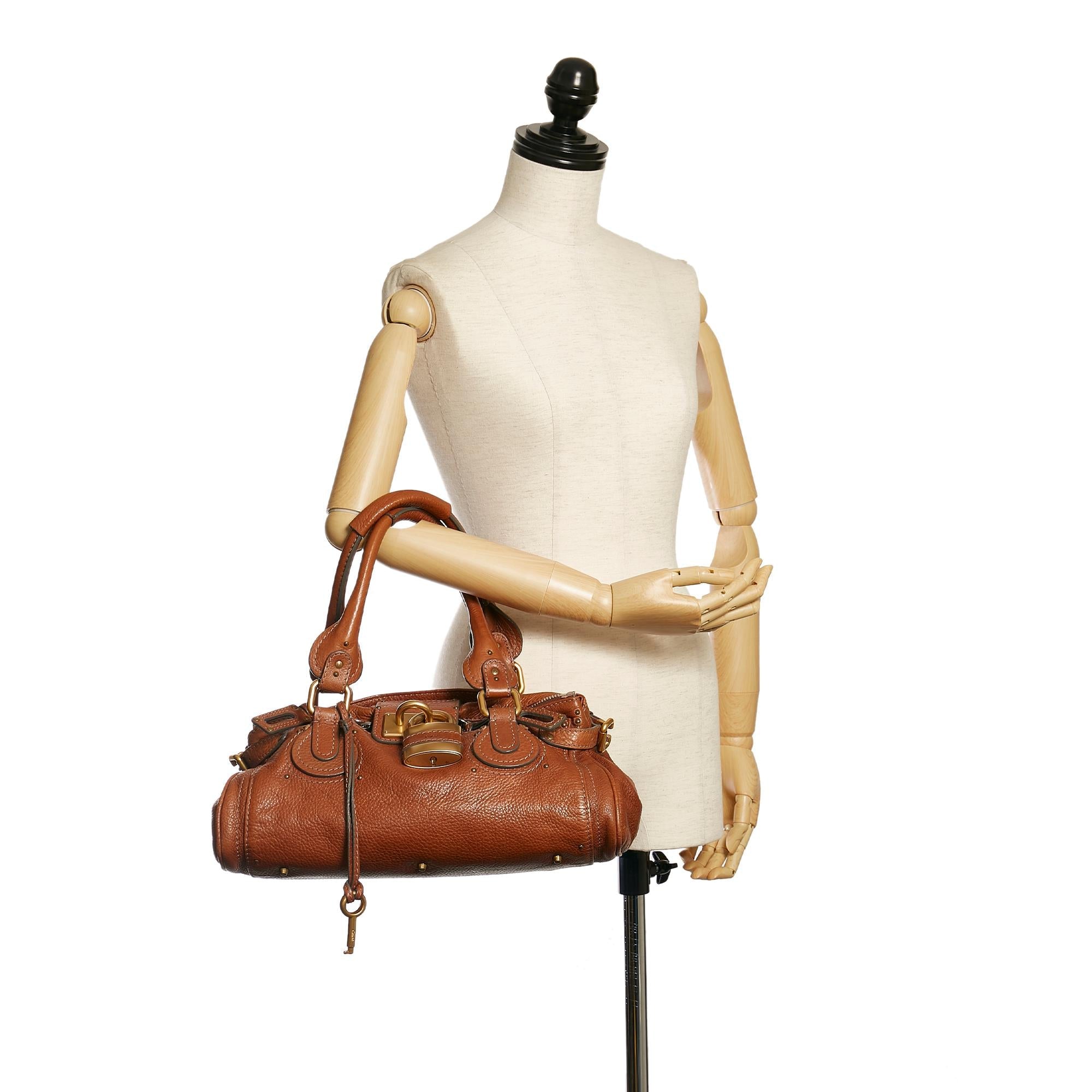 Chloe Paddington (SHG-34281)