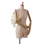 Dior Leather Saddle (SHG-SkxchI)