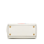 Dior Medium Niki De Saint Phalle Lady Dior (SHG-ZHEI2E)