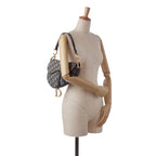 Dior Medium Oblique Saddle (SHG-bXsuz6)