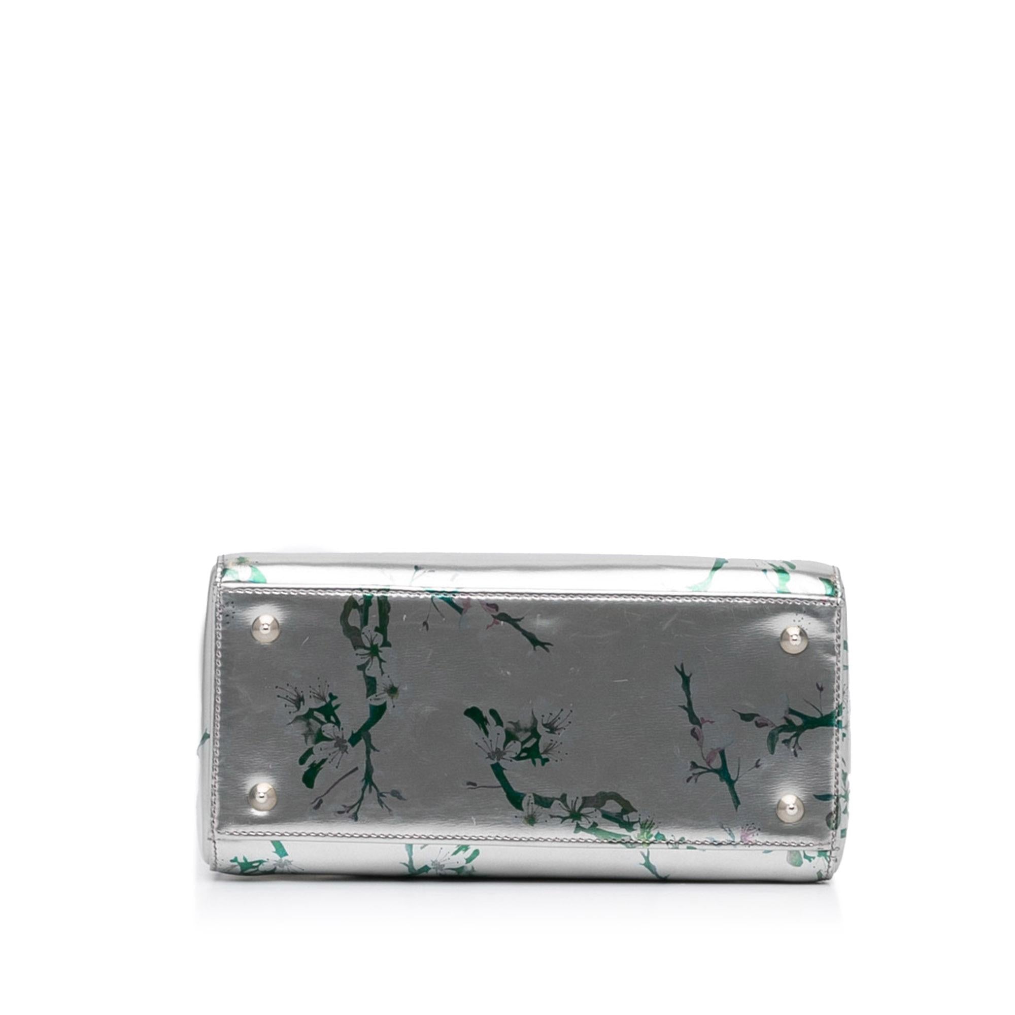 Dior Medium Printed Lady Dior (SHG-WFcBxM)