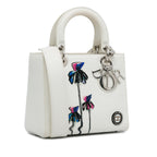 Dior Medium Sequin Embellished Lady Dior (SHG-IrgbdL)