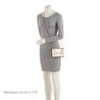 Dior Metallic Calfskin Diorama Wallet on Chain Bag (SHF-rpZnj7)