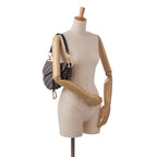 Dior Oblique Canvas Saddle (SHG-27dmG8)