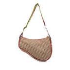 Dior Rasta Saddle Shoulder Bag (SHG-FmLTcV)
