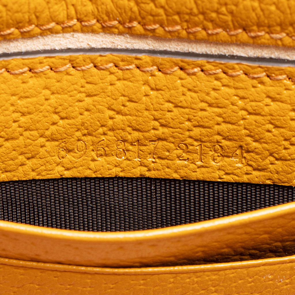 Gucci Calfskin Raffia Bamboo Diana Mini Chain Crossbody