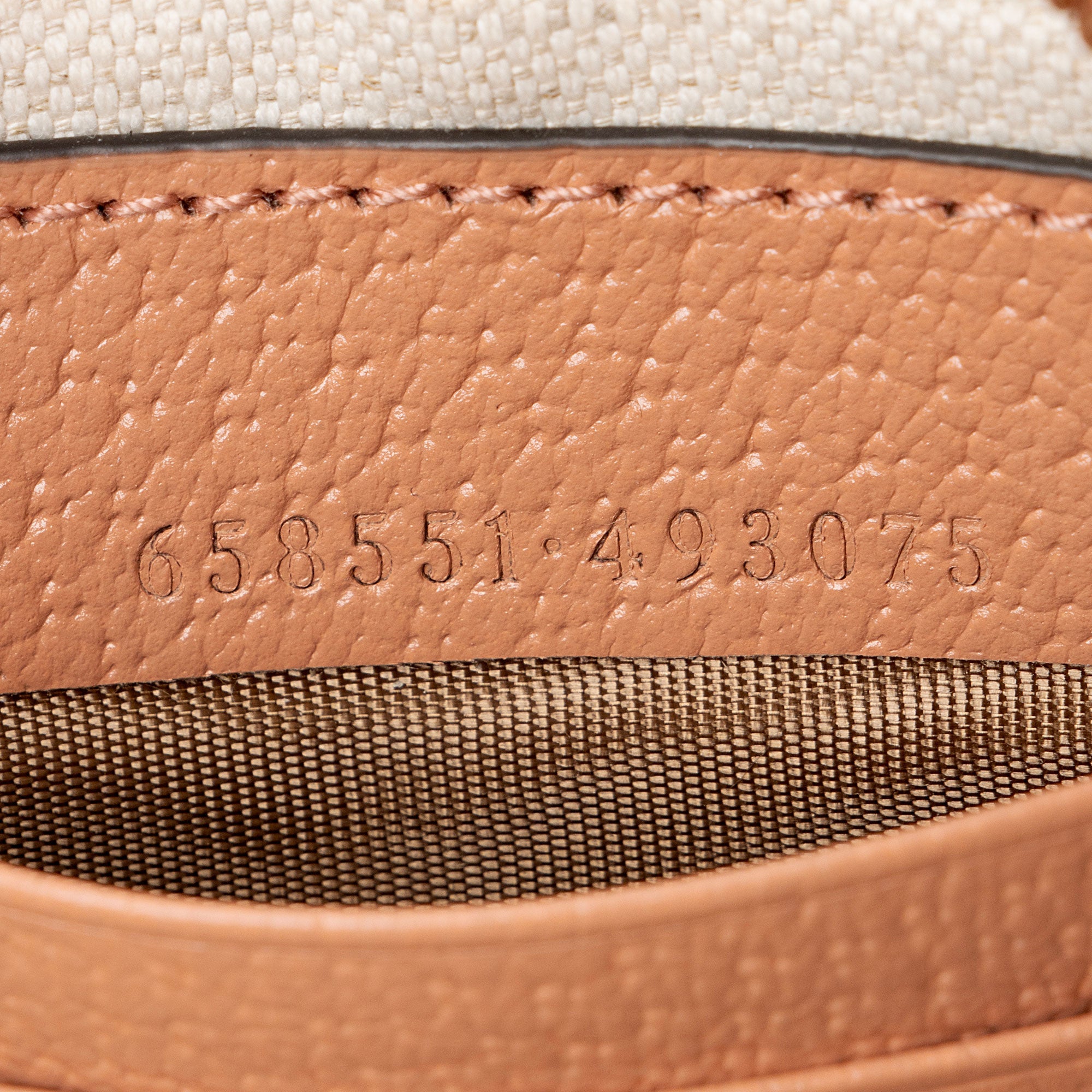 Gucci GG Canvas Ophidia Half Moon Mini Hobo (SHF-1rDKVw)