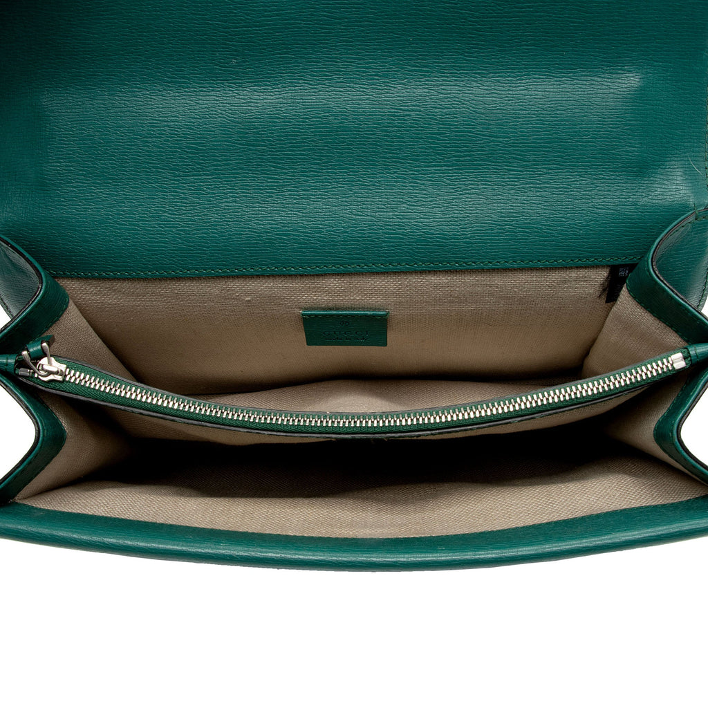 Gucci Leather Blooms Dionysus Medium Shoulder Bag (SHF-XlECb6)