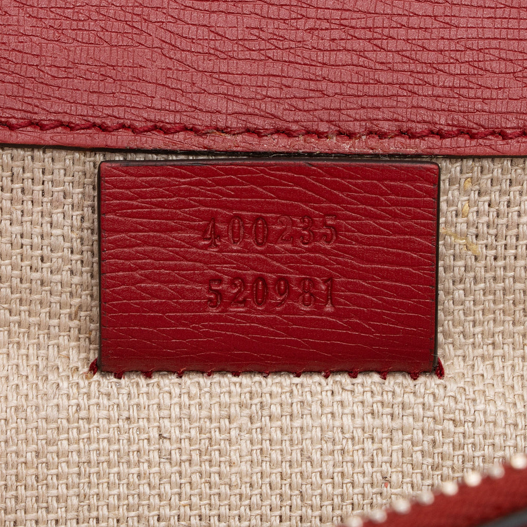 Gucci Leather Blooms Dionysus Medium Shoulder Bag (SHF-D75hzU)