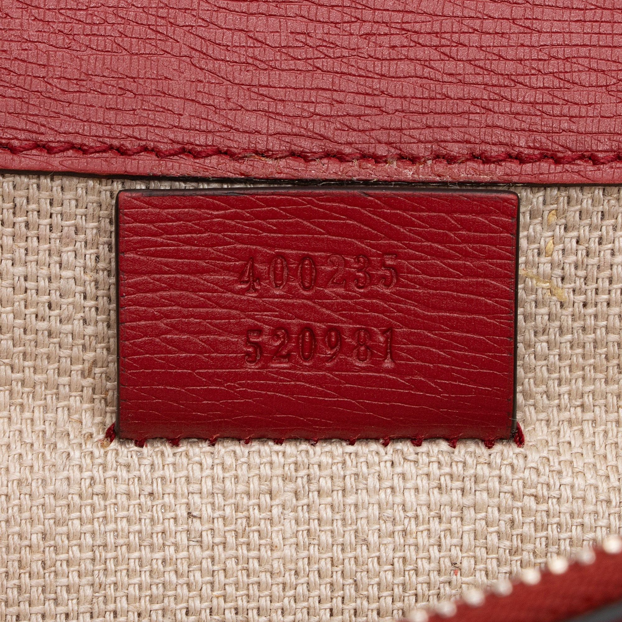 Gucci Leather Blooms Dionysus Medium Shoulder Bag (SHF-D75hzU)