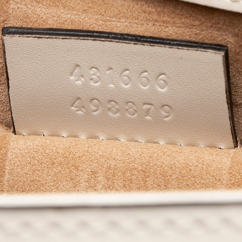 Gucci Leather Mini Sylvie Chain Bag (SHF-20274)