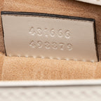 Gucci Leather Mini Sylvie Chain Bag (SHF-20274)