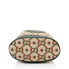 Gucci Limited Edition GG Canvas 100 Bucket Bag (SHF-x2mTZd)