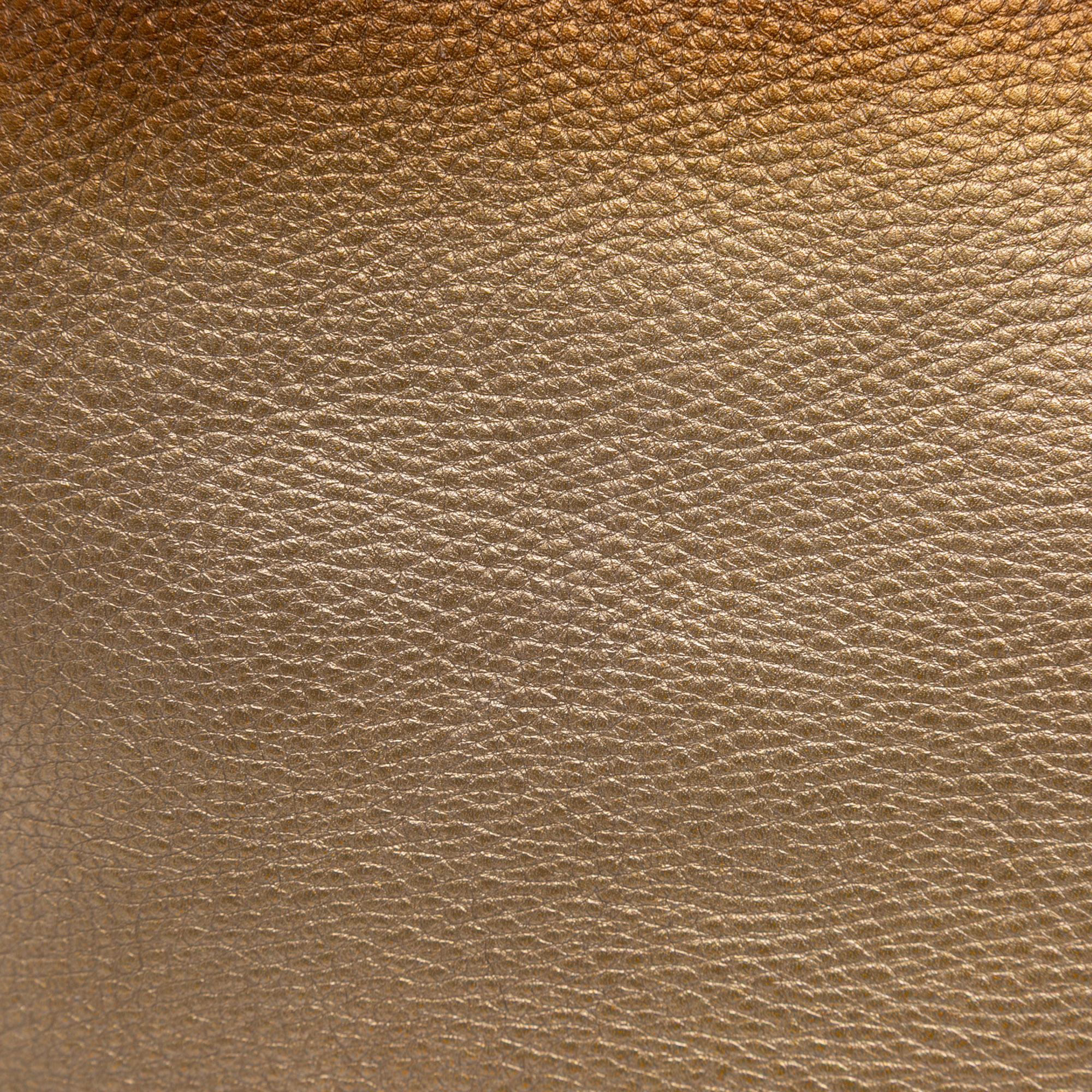 Gucci Medium Leather Ombre Soho Cellarius Tote