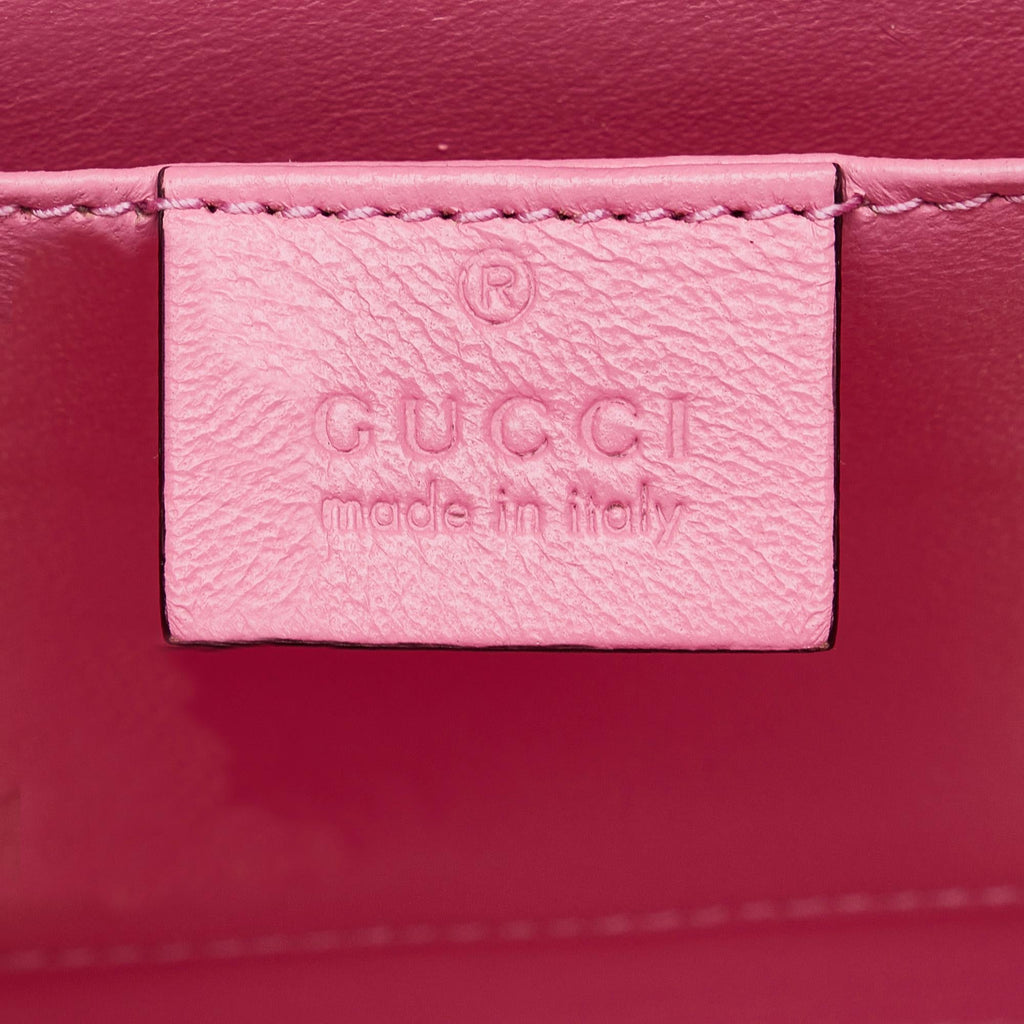 Gucci Mini Plexiglass Sylvie 1969 (SHG-orVI9i)