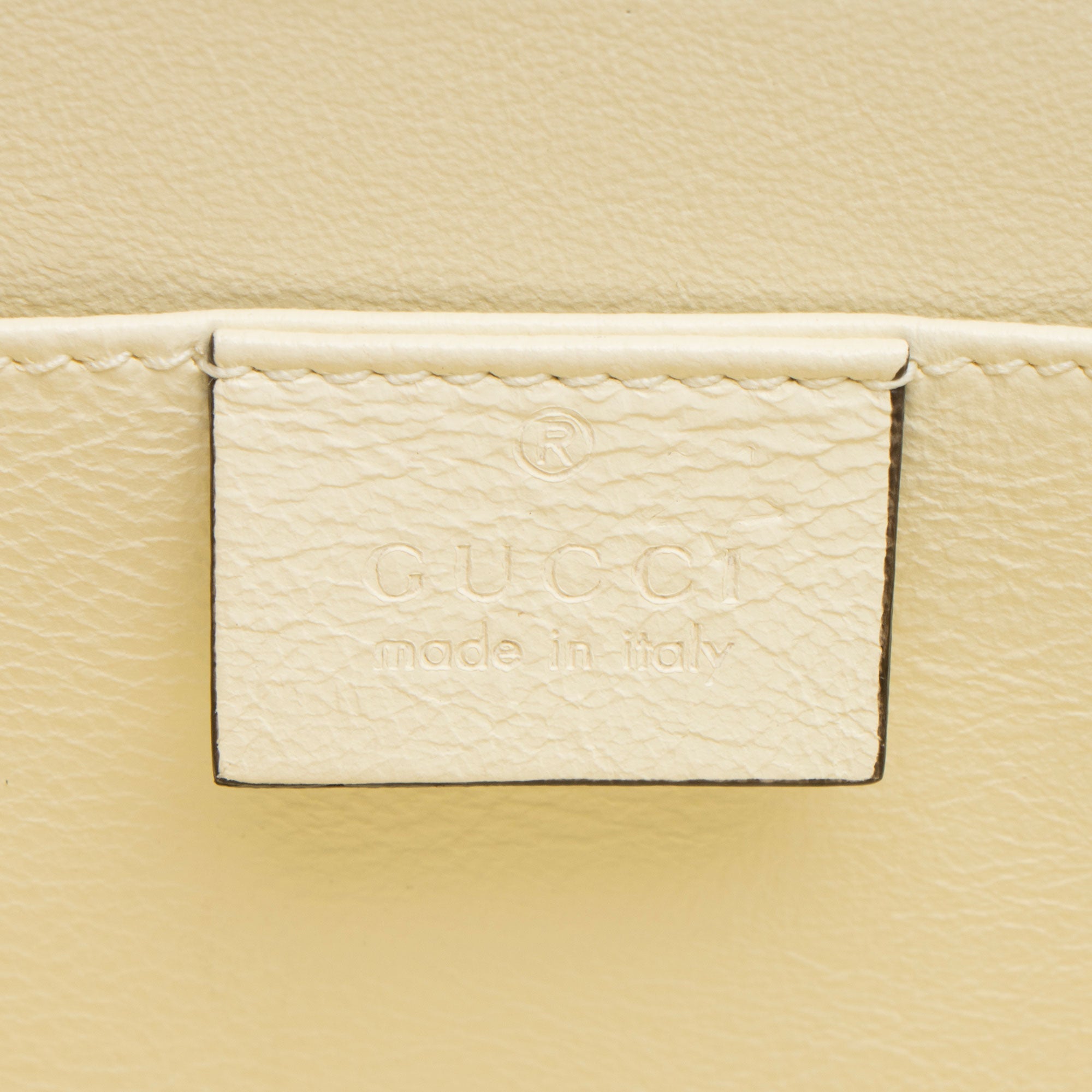Gucci Plexiglass Sylvie 1969 Mini Top Handle (SHF-a361PU)