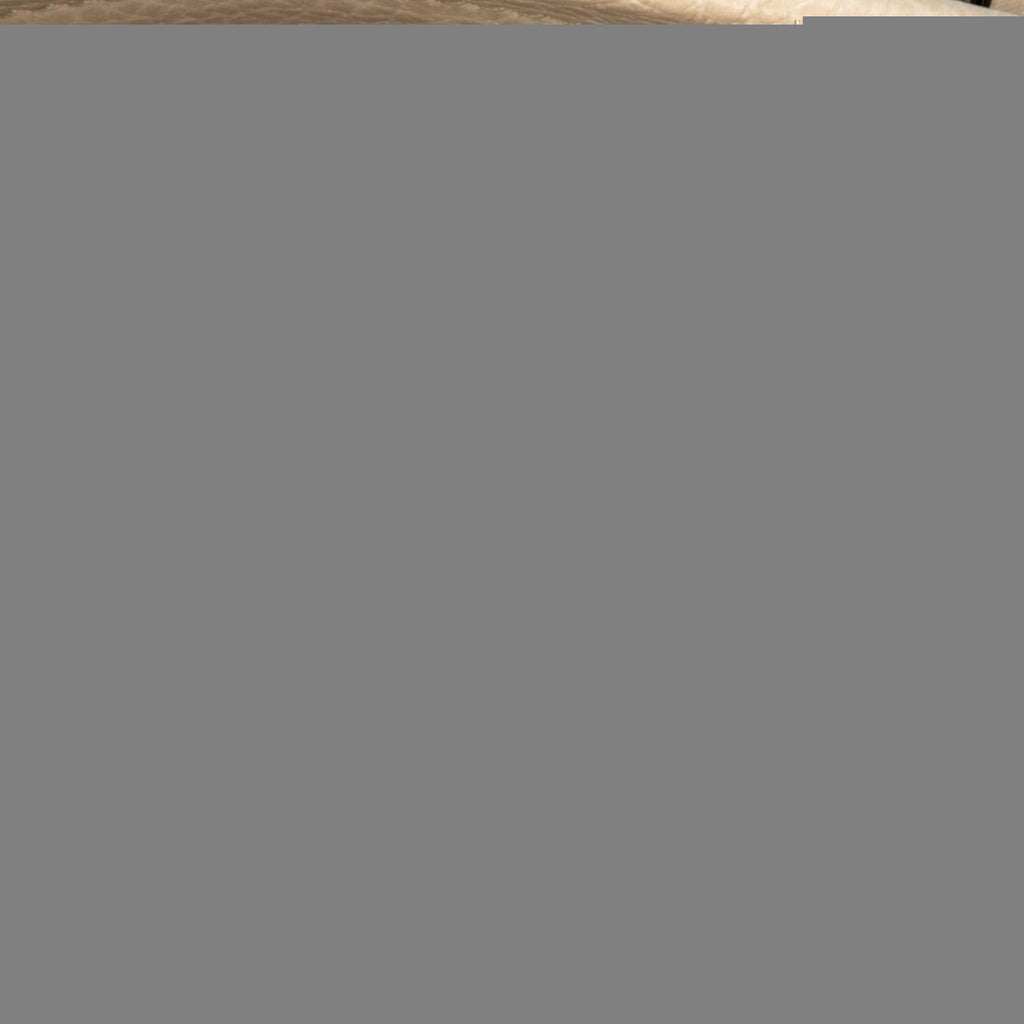 Gucci Small GG Canvas Bree Satchel