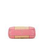 Gucci Small Raffia Bamboo Shopper Satchel