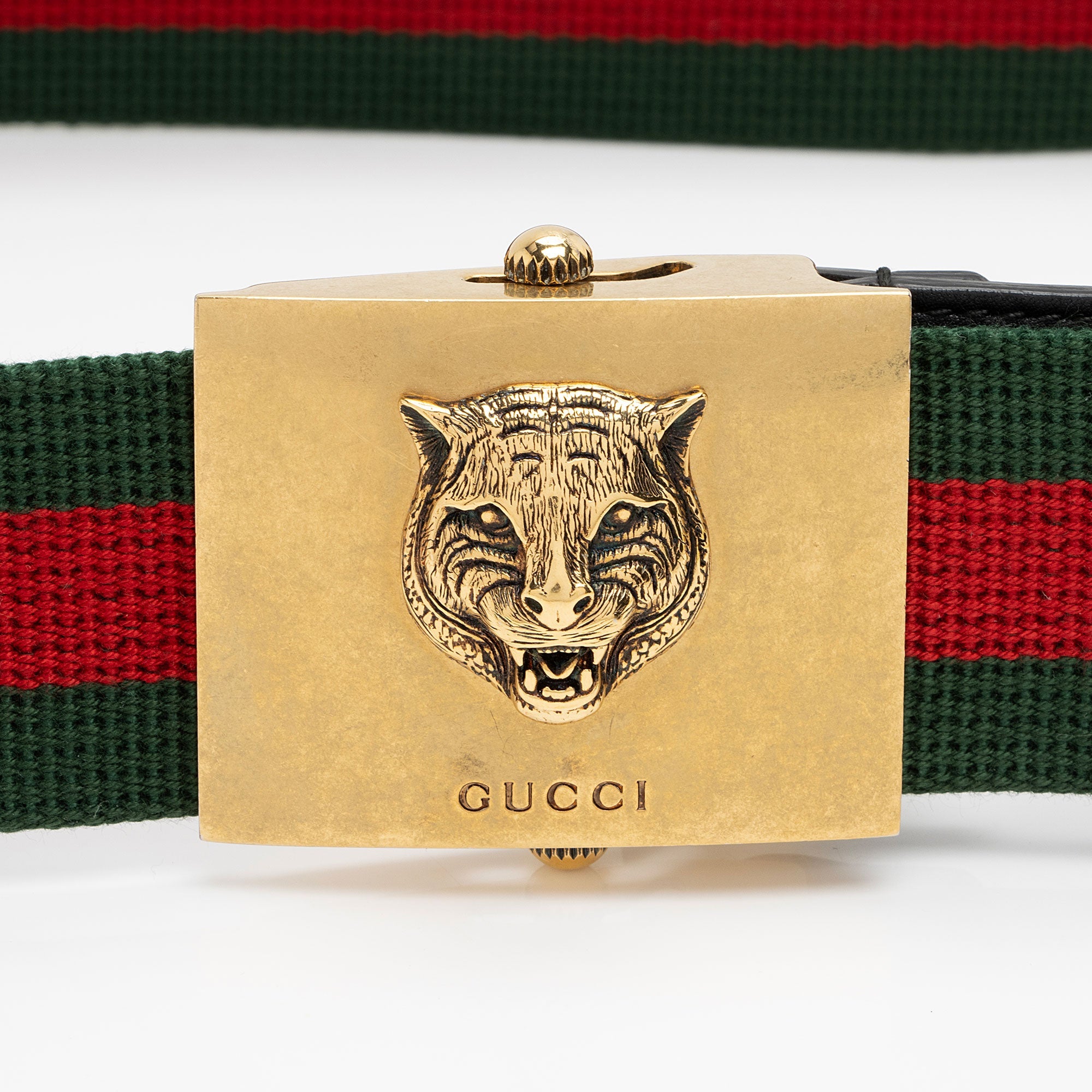 Gucci Web Feline Buckle Belt - Size 40 / 100 (SHF-Imw5gg)