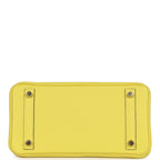 Hermes Special Order (HSS) Birkin 25 Lime Verso Clemence Permabrass Hardware