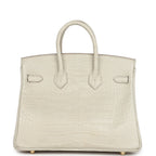Hermes Birkin 25 Beton Matte Alligator Gold Hardware