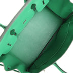 Hermes Birkin 30 Cactus Epsom Palladium Hardware