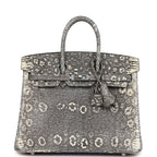 Hermes Birkin 25 Ombre Varanus Salvator Lizard Palladium Hardware
