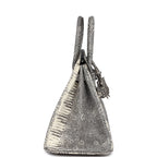 Hermes Birkin 25 Ombre Varanus Salvator Lizard Palladium Hardware