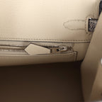 Hermes Birkin 25 Ombre Varanus Salvator Lizard Palladium Hardware