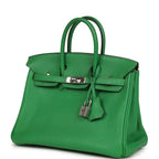 Hermes Birkin 25 Bambou Togo Palladium Hardware