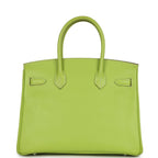 Hermes Birkin 30 Kiwi Candy Epsom Palladium Hardware