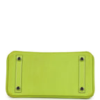 Hermes Candy Birkin 25 Kiwi Candy Epsom Palladium Hardware