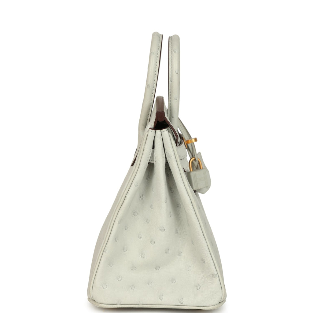Hermes Special Order (HSS) Birkin 25 Gris Perle Verso Ostrich Brushed Gold Hardware