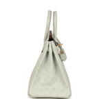 Hermes Special Order (HSS) Birkin 25 Gris Perle Verso Ostrich Brushed Gold Hardware