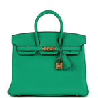 Hermes Birkin 25 Menthe Togo Gold Hardware
