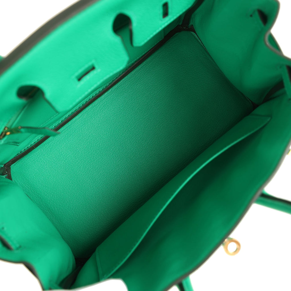 Hermes Birkin 25 Menthe Togo Gold Hardware