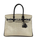Hermes Special Order (HSS) Birkin 30 Gris Perle and Prunoir Matte Alligator Brushed Palladium Hardware