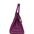 Hermes Birkin 30 Anemone Epsom Gold Hardware