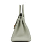 Hermes Birkin 25 Gris Neve Togo Gold Hardware