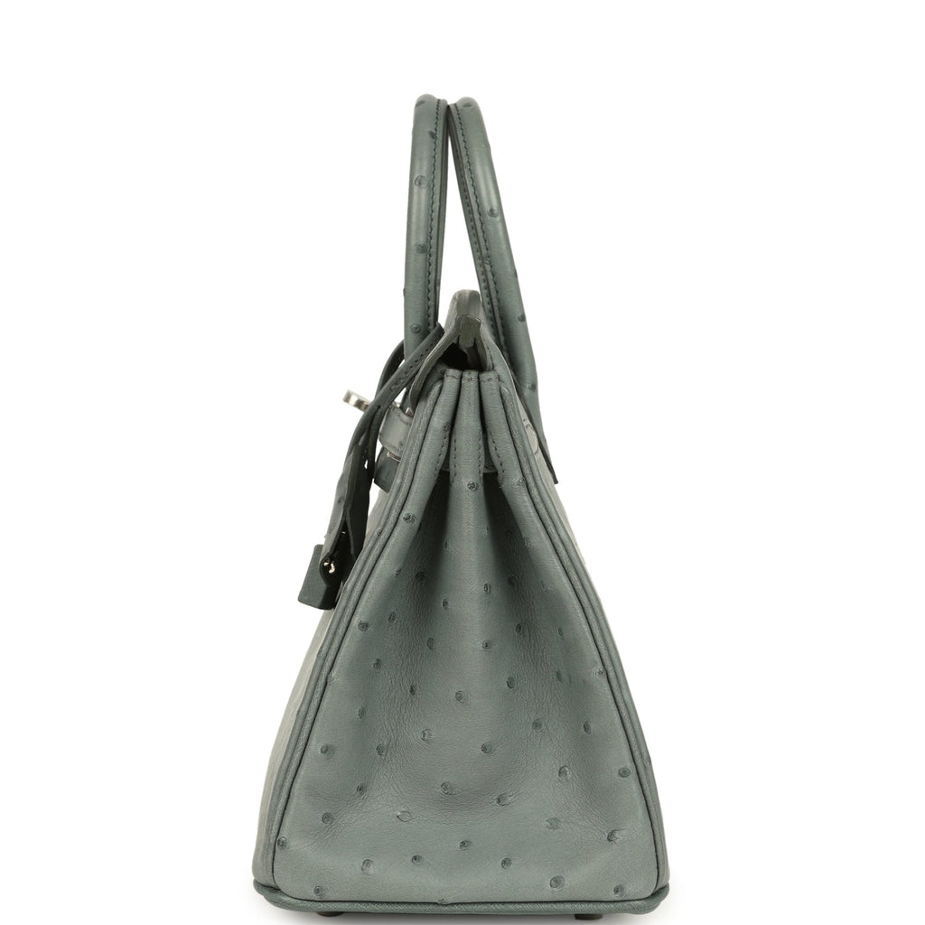 Hermes Birkin 25 Vert Amande Ostrich Palladium Hardware