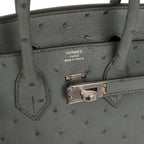 Hermes Birkin 25 Vert Amande Ostrich Palladium Hardware